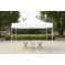 American Phoenix 10x10 [White Frame] Portable Event Canopy Tent, Canopy Tent, Party Tent Gazebo Canopy Commercial Fair Shelter Car Shelter Wedding Party Easy Pop Up (White, 10x10)