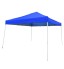 OTLIVE 10x10 Canopy Tent Slant Legs Waterproof Top Portable Pop Up Tents (10x10, Blue)